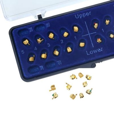 Class II ALS Orthodontic Bracket Lingual Dental Golden Coated Brace Customized