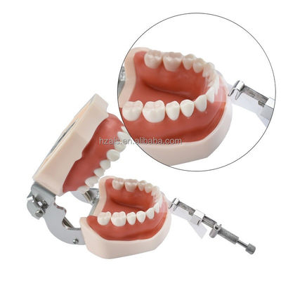 100Pcs/box Dental Filling Tools MICRODONT Interdental Spacer Polyester Matrix Bands Dental Material Matrices