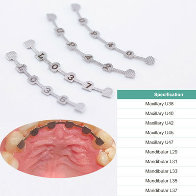 Lower Size 29 31 33 35 37 Orthodontic Dental Brackets Inside Oral Cavity Lingual Retainer Bonding Splints Packaged in Plastic Bag