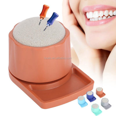Class II Instrument Dental Endo Files Holder Stand Case Burs For Oral Care Tools