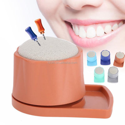 Class II Instrument Dental Endo Files Holder Stand Case Burs For Oral Care Tools