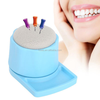 Class II Instrument Dental Endo Files Holder Stand Case Burs For Oral Care Tools