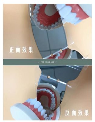Dental Double Side Orthodontic Instrument SS Photograph Mirror