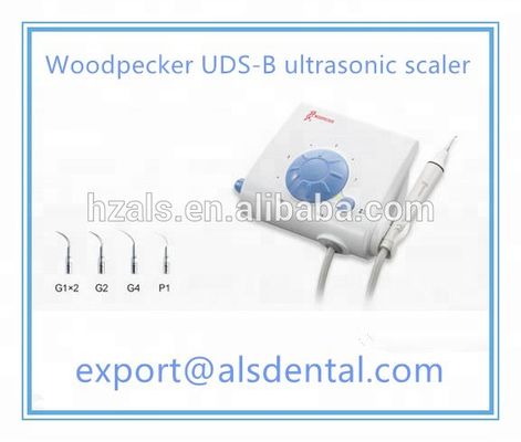 Plastic Stainless Steel Woodpecker Ultrasonic Scaler UDS-B For Dental 110V