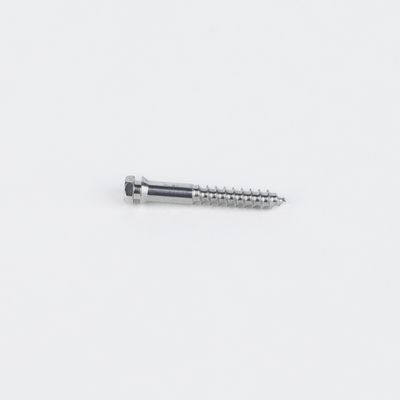 SEO-Optimized Product Description: SS/Titanium Mini Screw for MSE