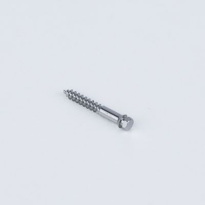 SEO-Optimized Product Description: SS/Titanium Mini Screw for MSE