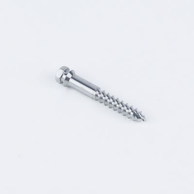 SEO-Optimized Product Description: SS/Titanium Mini Screw for MSE