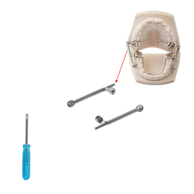 Herbst Appliance Jaw Corrector 18-31mm Stainless Steel Orthodontic