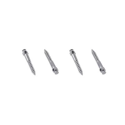 New Titanium Orthodontic Micro Implant Button Head with Hole for Dental Anchorage